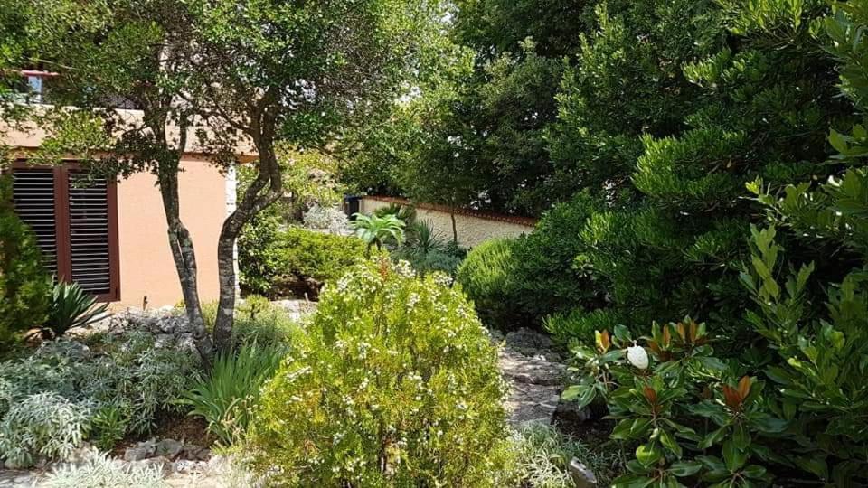 Apartments Villa Temer Pinezici  Exterior photo