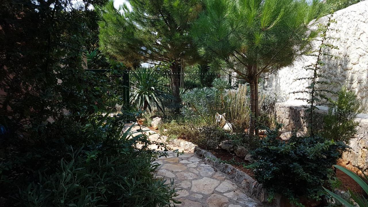 Apartments Villa Temer Pinezici  Exterior photo