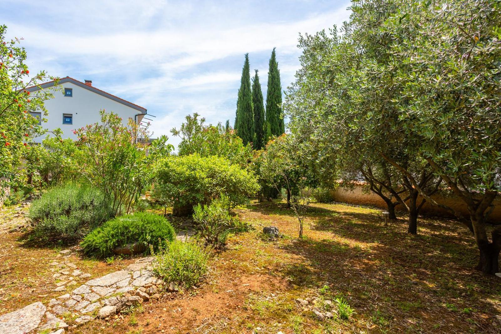 Apartments Villa Temer Pinezici  Exterior photo